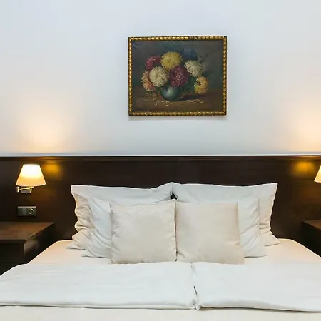 Apartmanhotel Apartrezidence Opletalova 4*